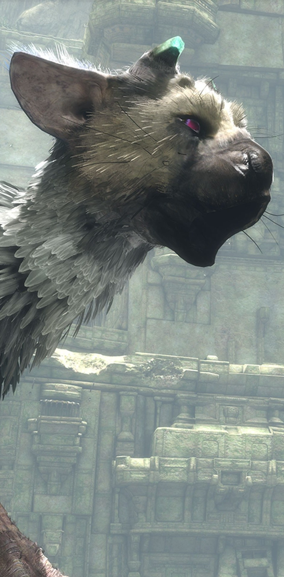 The-Last-Guardian-4K-Wallpaper-1