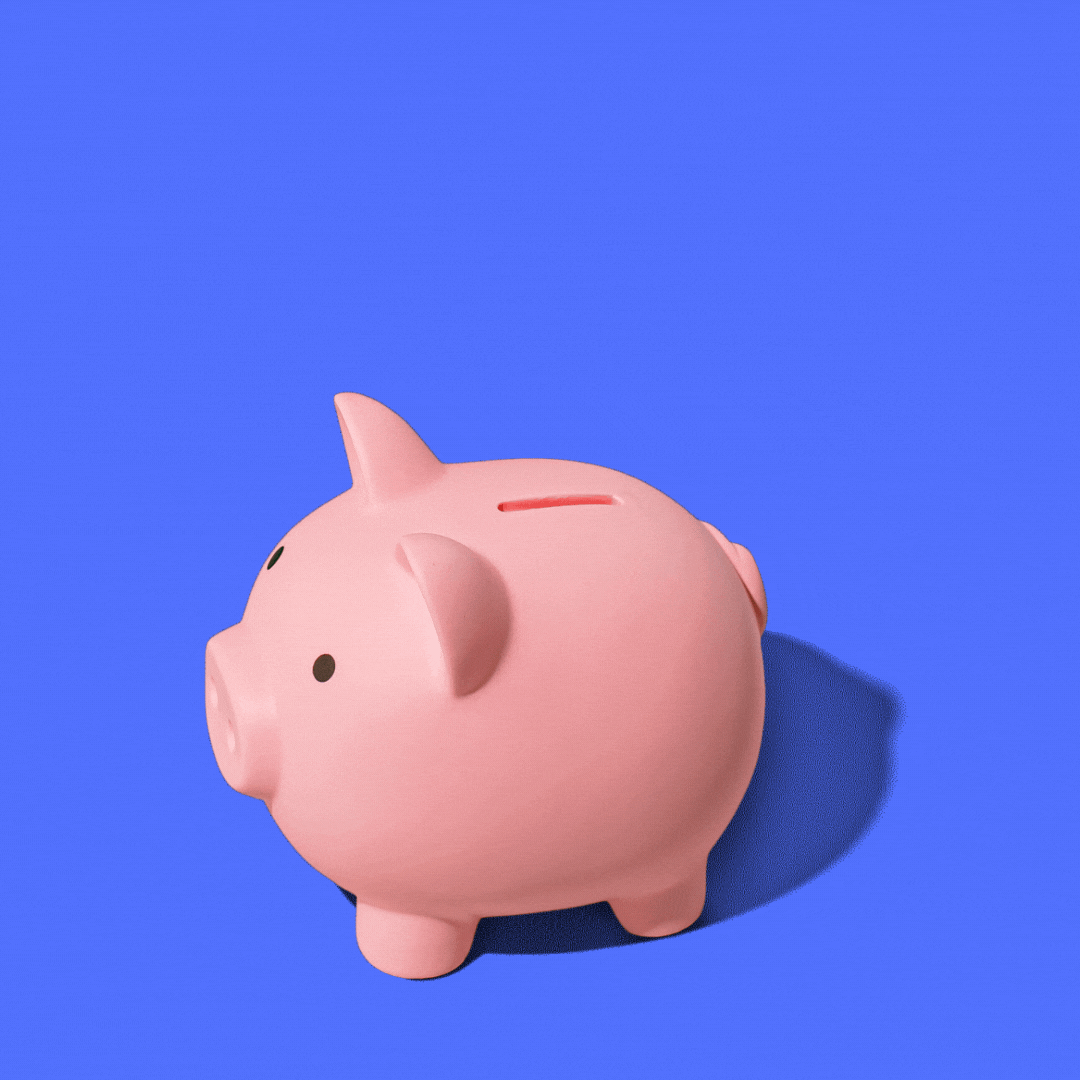 Coins+Falling+Into+Piggy+Bank+Animation